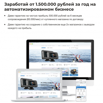 Автоматизированный интернет-магазин с доходом 1.5М/год