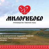 Яшков Максим