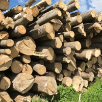 Инвестирование в действующее прибыльное  деревообрабатывающее предприятие
