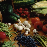 Оптовая торговля Эко продуктами (свежие овощи , ягоды, грибы замороженные).